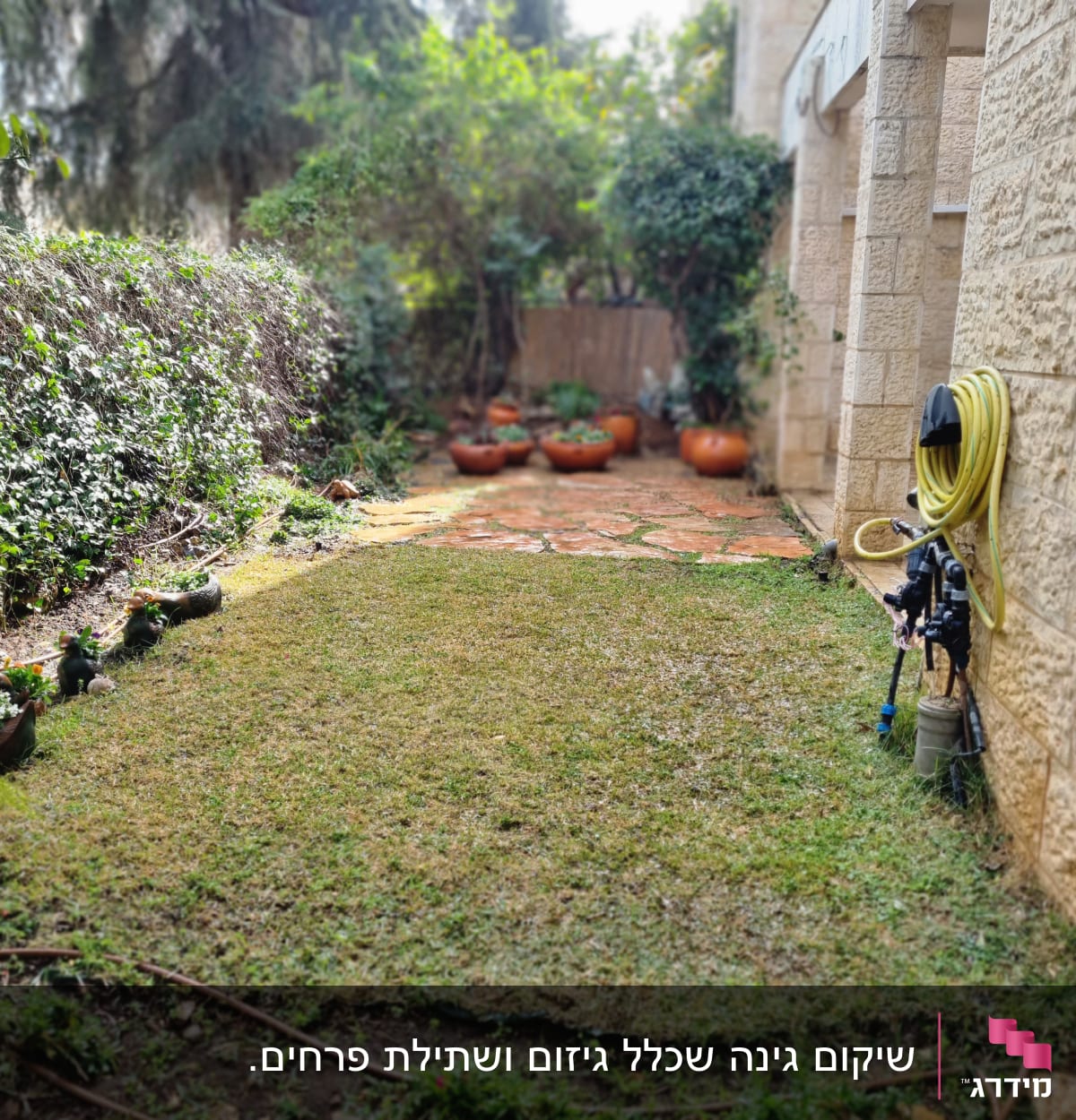 צינור מים מגולגל ליד דשא ועציצים